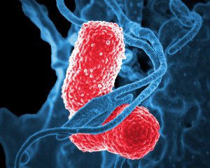 В Україні уп'ятеро стало більше хворих на пневмонію