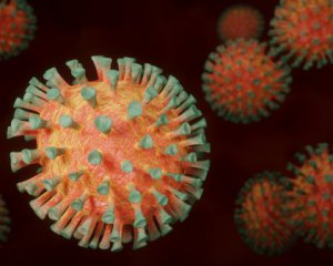 Виявили перший у світі смертельний випадок реінфекції Covid-19