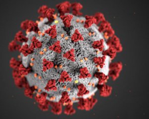 Франция вводит комендантский час из-коронавируса