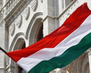МЗС Угорщини прокоментувало агітацію свого політика у Закарпатті