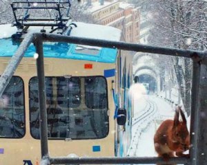 Експерти розповіли, якою буде зима в Києві