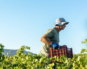 Українці масово виїжджають на заробітки