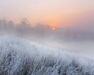 Ночные морозы и мокрый снег - синоптик удивил прогнозом на ноябрь