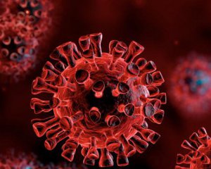 Вчені виявили новий вид коронавірусу
