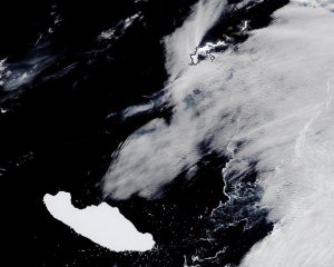 Півднем Атлантики дрейфує айсберг завбільшки з половину Закарпаття