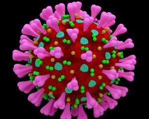 Скільки часу зберігається імунітет після легкої форми коронавірусу