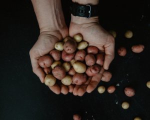 Цены на картофель растут: объяснили причины