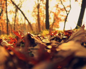 На українців чекає сильне похолодання