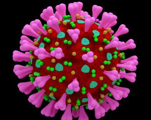 Лікарка заявила, що в Україні лютують кілька штамів коронавірусу