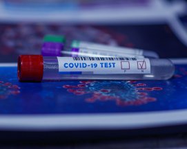 Первая страна Европы зафиксировала более 50 тыс. смертей от коронавируса
