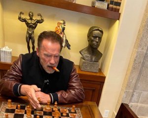 Шварценеґґер вперше гратиме головну роль в серіалі для Netflix