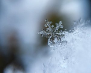 Снега, морозы и &quot;зимнее бабье лето&quot;: народные синоптики дали прогноз на декабрь