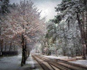 Киевлян ждет мокрый снег: водителей призывают быть осмотрительными
