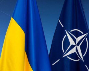 В МЗС озвучили альтернативу Плану членства в НАТО