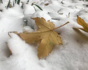 Ударит мороз до -14°С: синоптики дали прогноз до конца недели