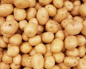 Чому Україна з переповненими сховищами купує картоплю в Польщі