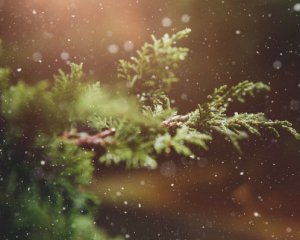 Рассказали, чем удивит погода этой зимой