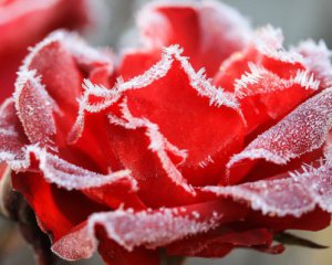 Над Україною пануватиме антициклон