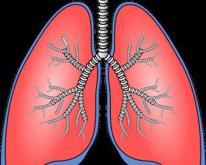 Перелічили симптоми запалення легенів, які часто ігнорують
