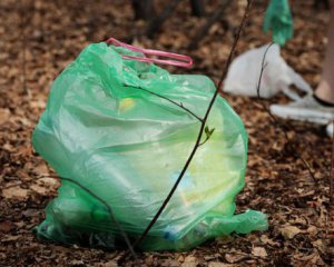 В стране запрещают использование пластиковых пакетов